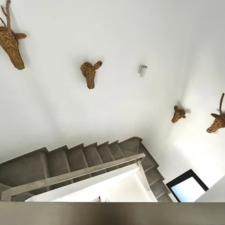 Gorgeous Douplex In *