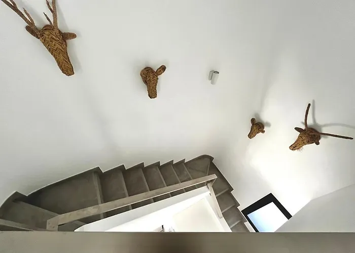 Gorgeous Douplex In *